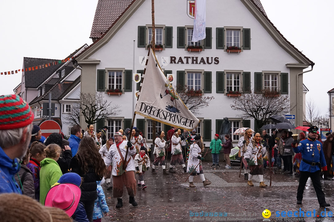 Fasnetsumzug - Fasching: Langenargen am Bodensee, 10.01.2016