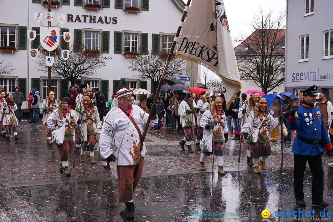 Fasnetsumzug - Fasching: Langenargen am Bodensee, 10.01.2016