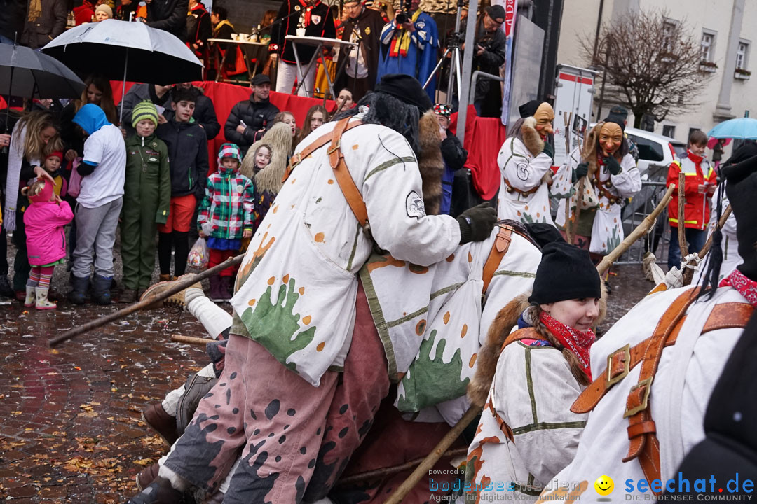 Fasnetsumzug - Fasching: Langenargen am Bodensee, 10.01.2016