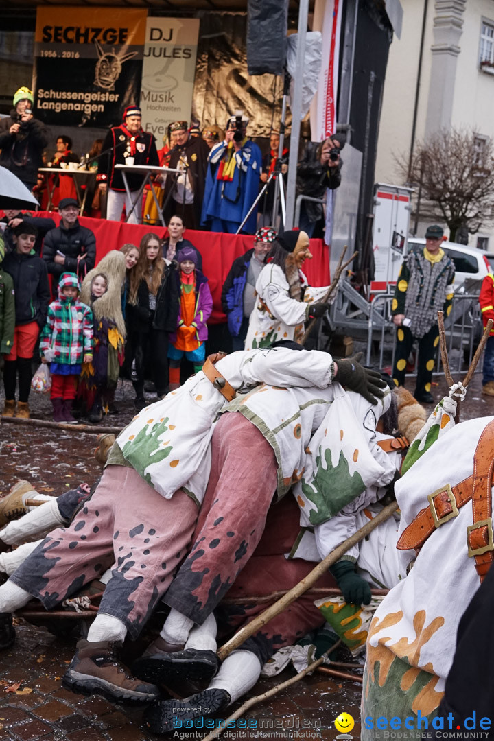 Fasnetsumzug - Fasching: Langenargen am Bodensee, 10.01.2016