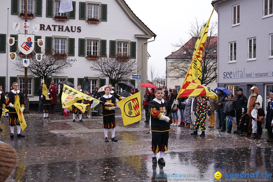 Fasnetsumzug - Fasching: Langenargen am Bodensee, 10.01.2016