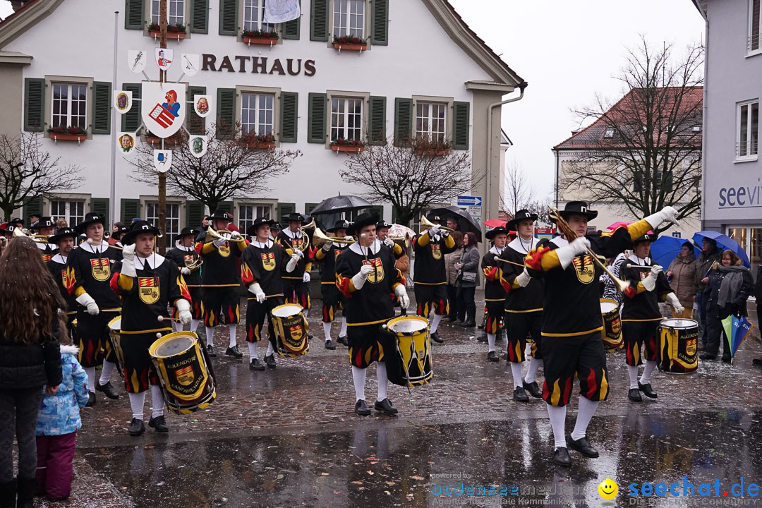 Fasnetsumzug - Fasching: Langenargen am Bodensee, 10.01.2016