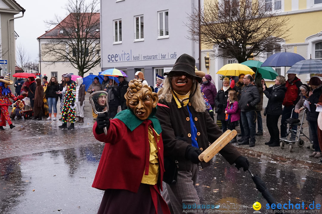 Fasnetsumzug - Fasching: Langenargen am Bodensee, 10.01.2016