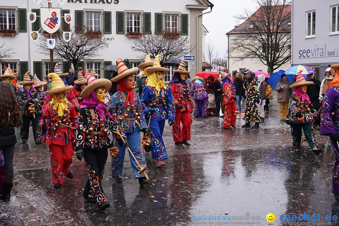 Fasnetsumzug - Fasching: Langenargen am Bodensee, 10.01.2016