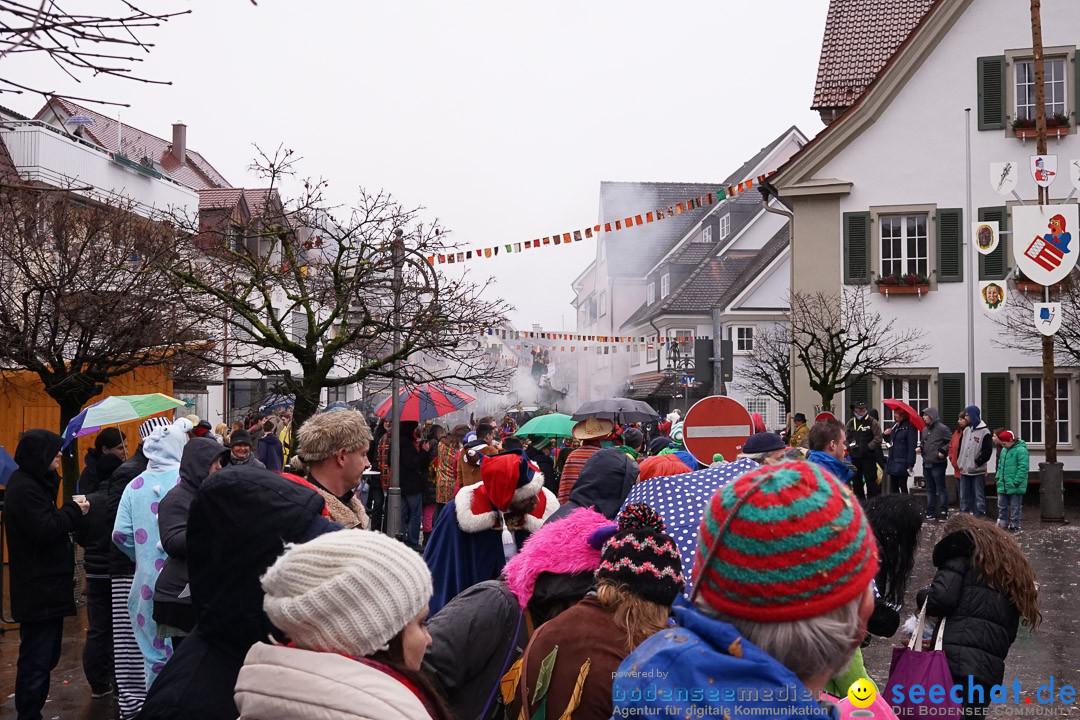 Fasnetsumzug - Fasching: Langenargen am Bodensee, 10.01.2016