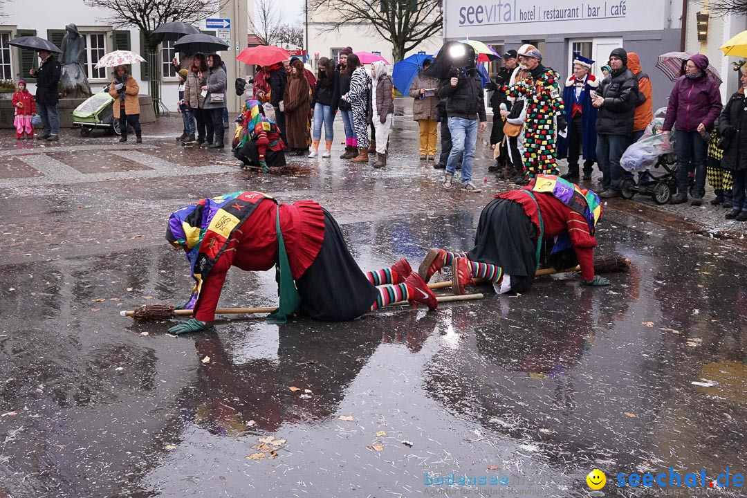 Fasnetsumzug - Fasching: Langenargen am Bodensee, 10.01.2016