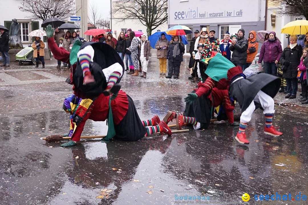 Fasnetsumzug - Fasching: Langenargen am Bodensee, 10.01.2016