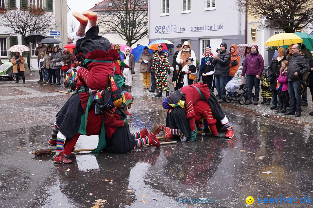 Fasnetsumzug - Fasching: Langenargen am Bodensee, 10.01.2016