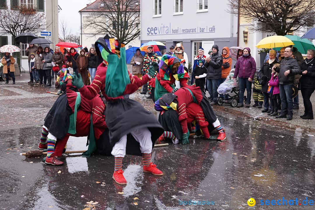 Fasnetsumzug - Fasching: Langenargen am Bodensee, 10.01.2016