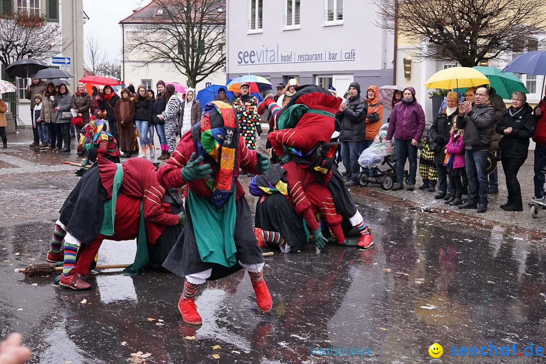 Fasnetsumzug - Fasching: Langenargen am Bodensee, 10.01.2016