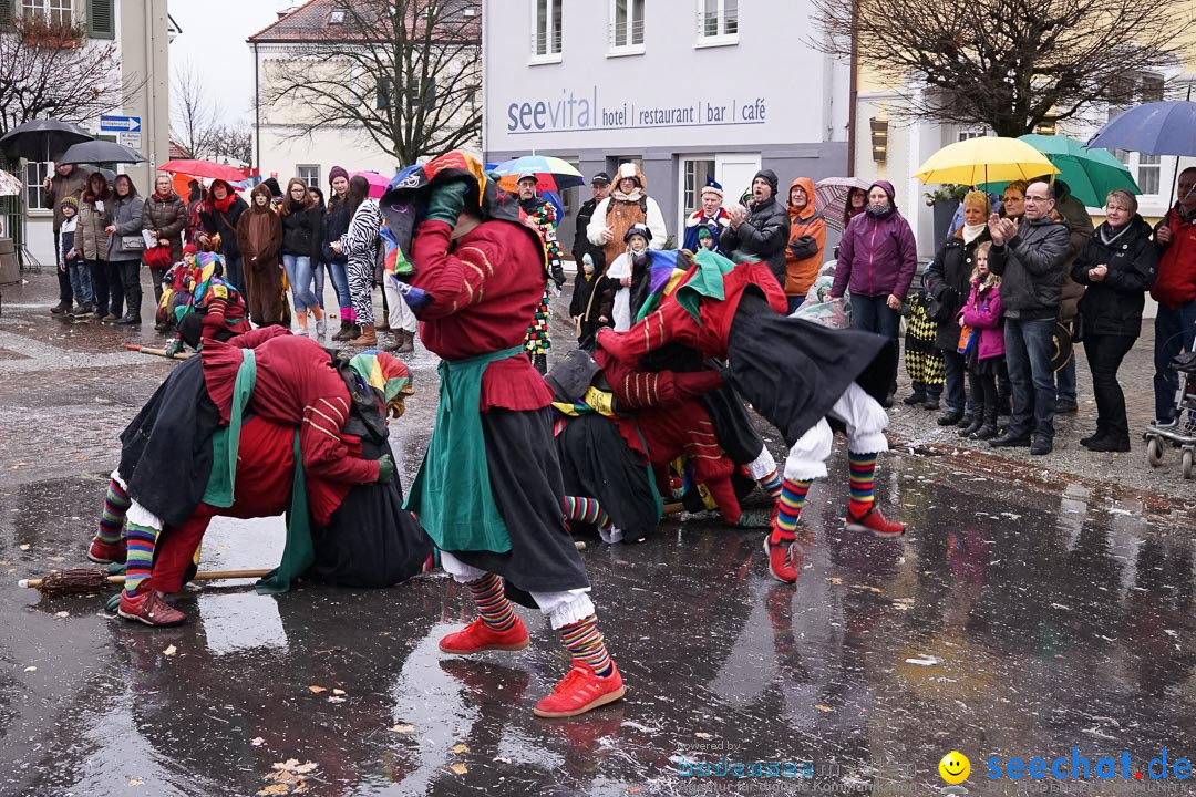 Fasnetsumzug - Fasching: Langenargen am Bodensee, 10.01.2016