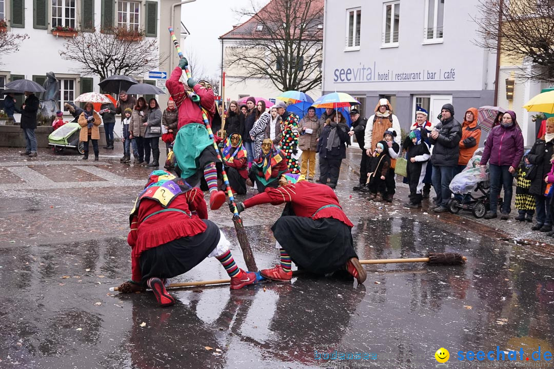 Fasnetsumzug - Fasching: Langenargen am Bodensee, 10.01.2016