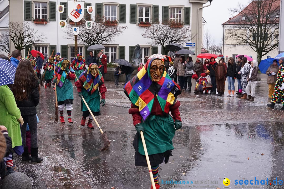 Fasnetsumzug - Fasching: Langenargen am Bodensee, 10.01.2016