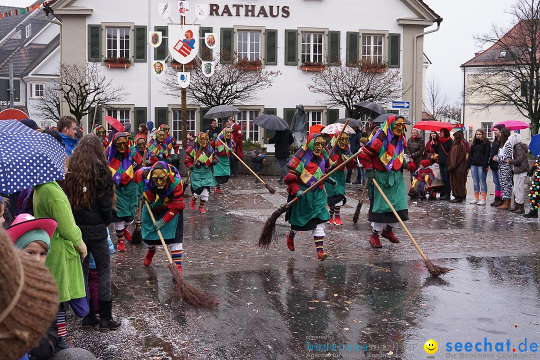 Fasnetsumzug - Fasching: Langenargen am Bodensee, 10.01.2016