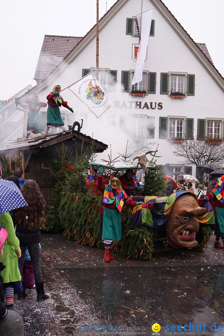 Fasnetsumzug - Fasching: Langenargen am Bodensee, 10.01.2016