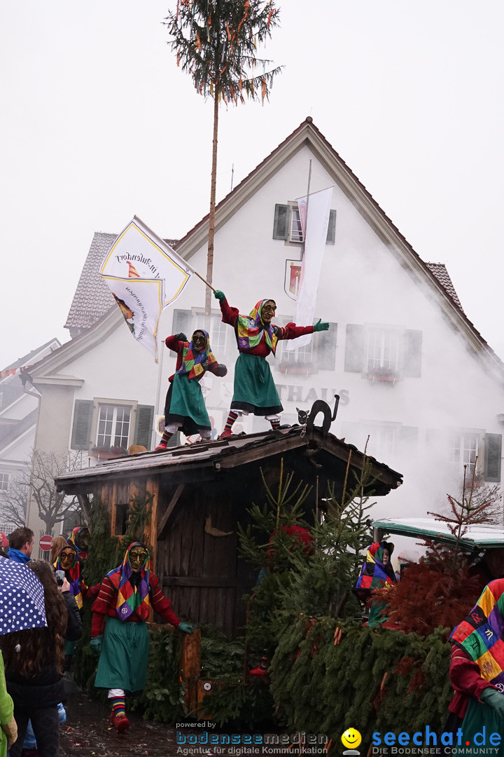 Fasnetsumzug - Fasching: Langenargen am Bodensee, 10.01.2016