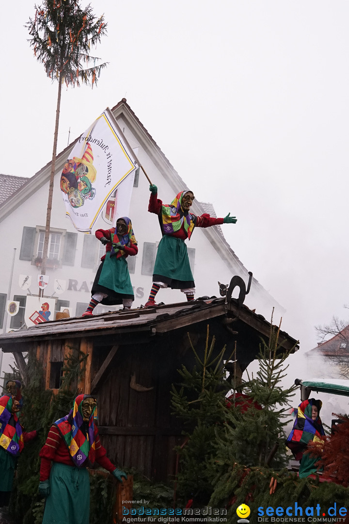 Fasnetsumzug - Fasching: Langenargen am Bodensee, 10.01.2016