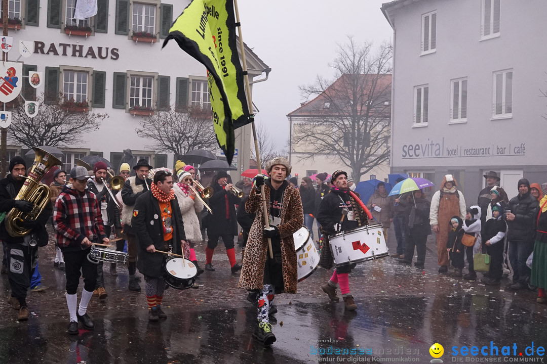 Fasnetsumzug - Fasching: Langenargen am Bodensee, 10.01.2016