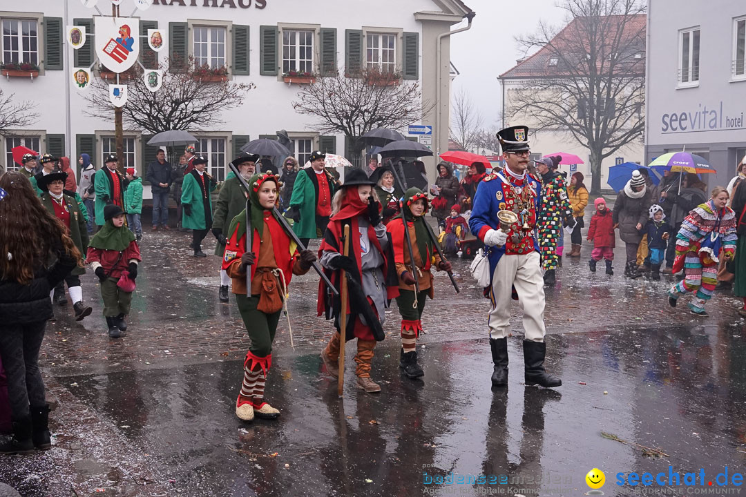 Fasnetsumzug - Fasching: Langenargen am Bodensee, 10.01.2016