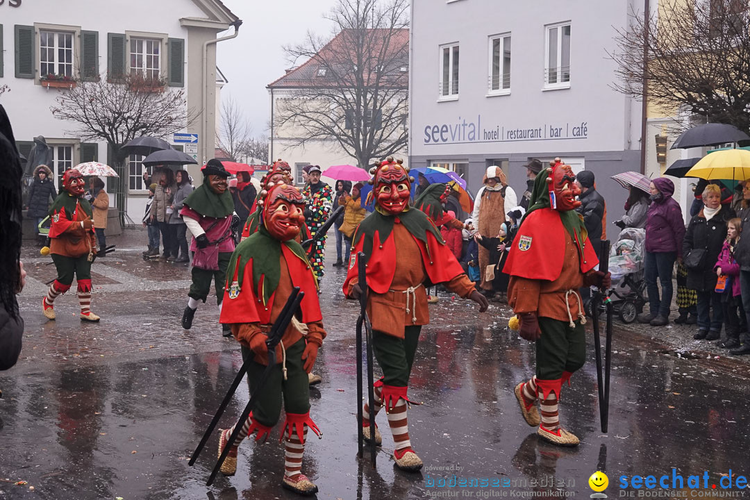 Fasnetsumzug - Fasching: Langenargen am Bodensee, 10.01.2016