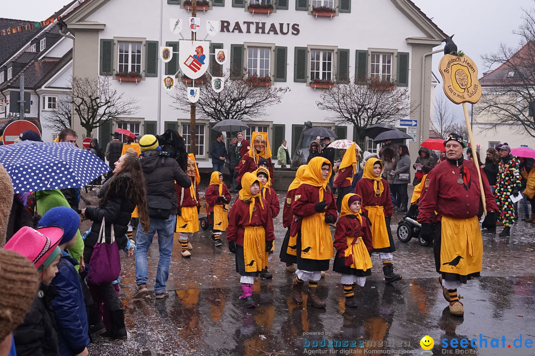 Fasnetsumzug - Fasching: Langenargen am Bodensee, 10.01.2016