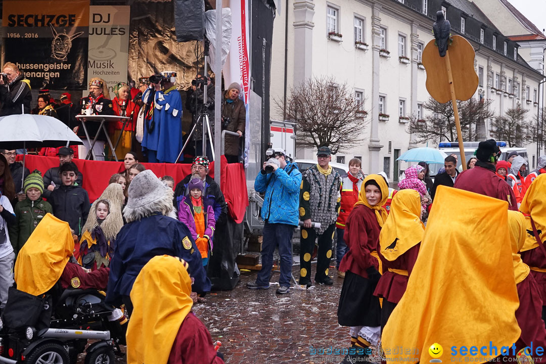 Fasnetsumzug - Fasching: Langenargen am Bodensee, 10.01.2016