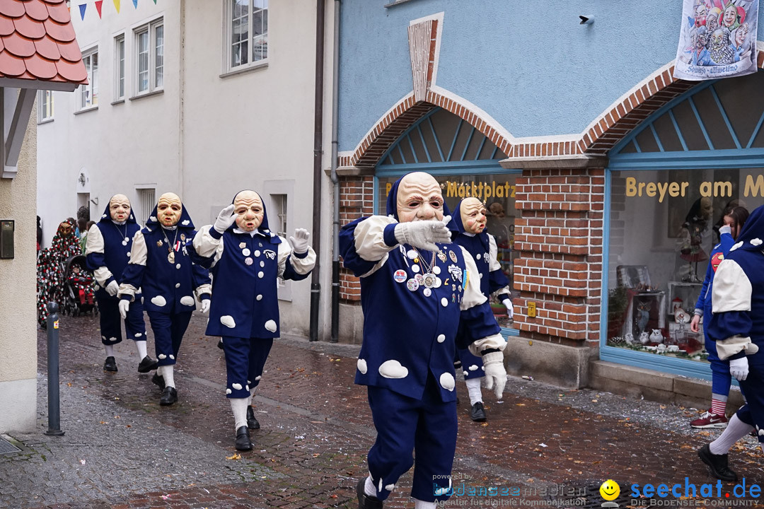 Fasnetsumzug - Fasching: Langenargen am Bodensee, 10.01.2016