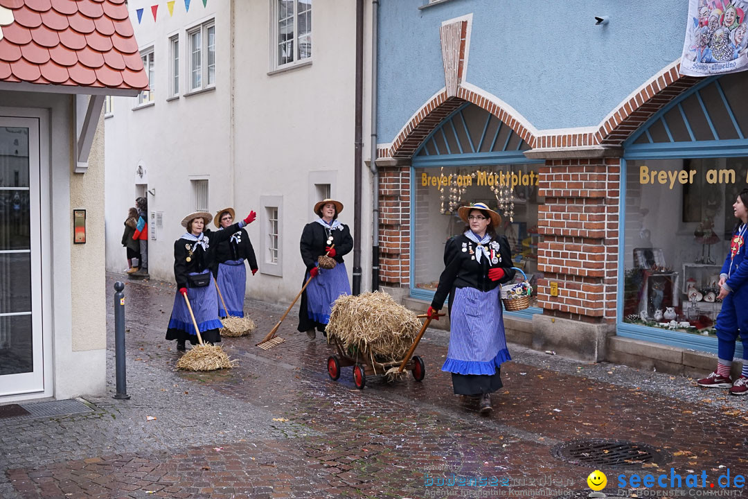 Fasnetsumzug - Fasching: Langenargen am Bodensee, 10.01.2016