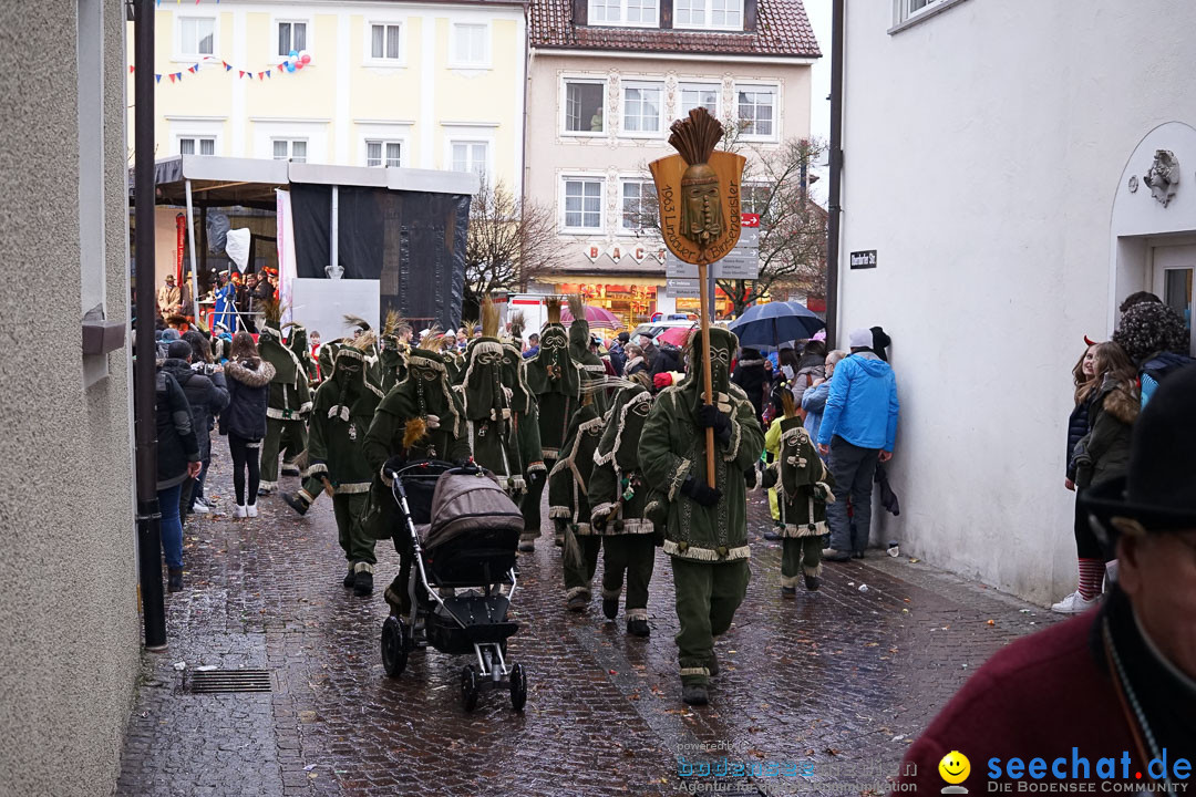 Fasnetsumzug - Fasching: Langenargen am Bodensee, 10.01.2016