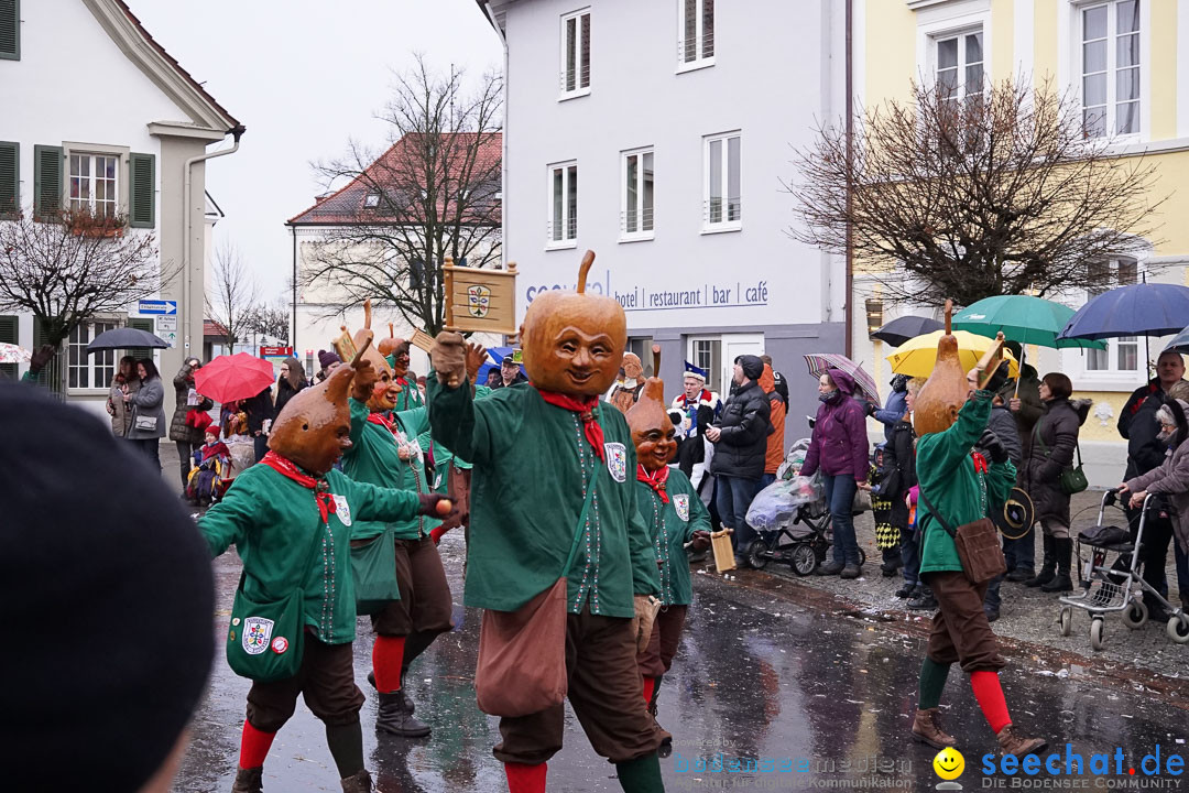 Fasnetsumzug - Fasching: Langenargen am Bodensee, 10.01.2016