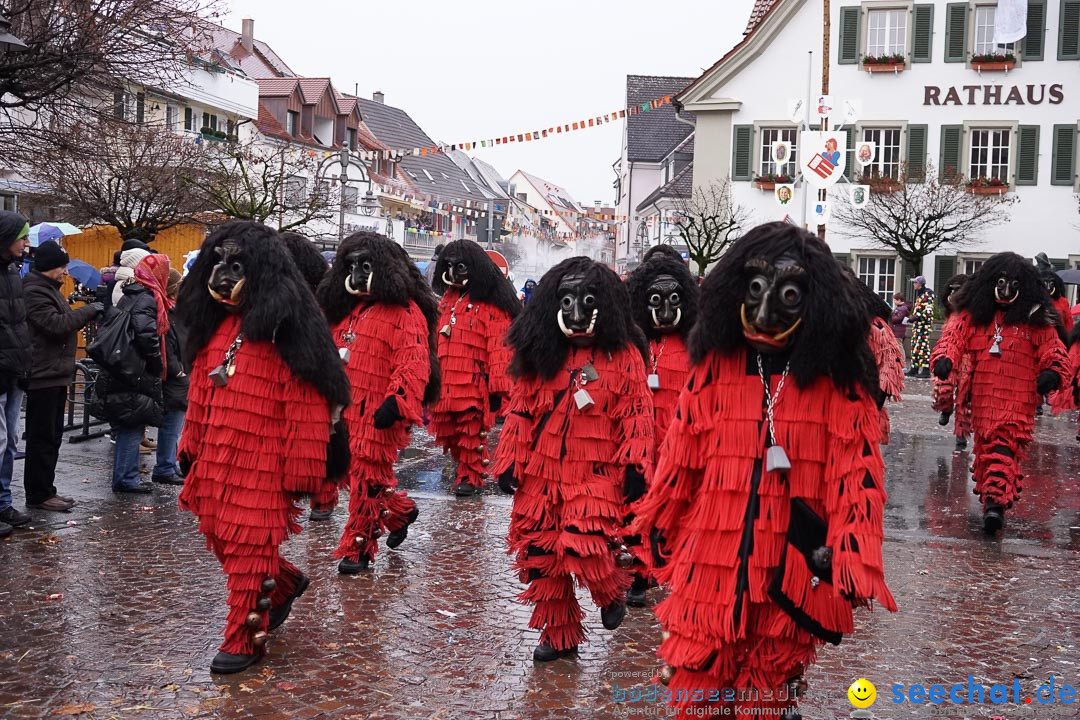 Fasnetsumzug - Fasching: Langenargen am Bodensee, 10.01.2016