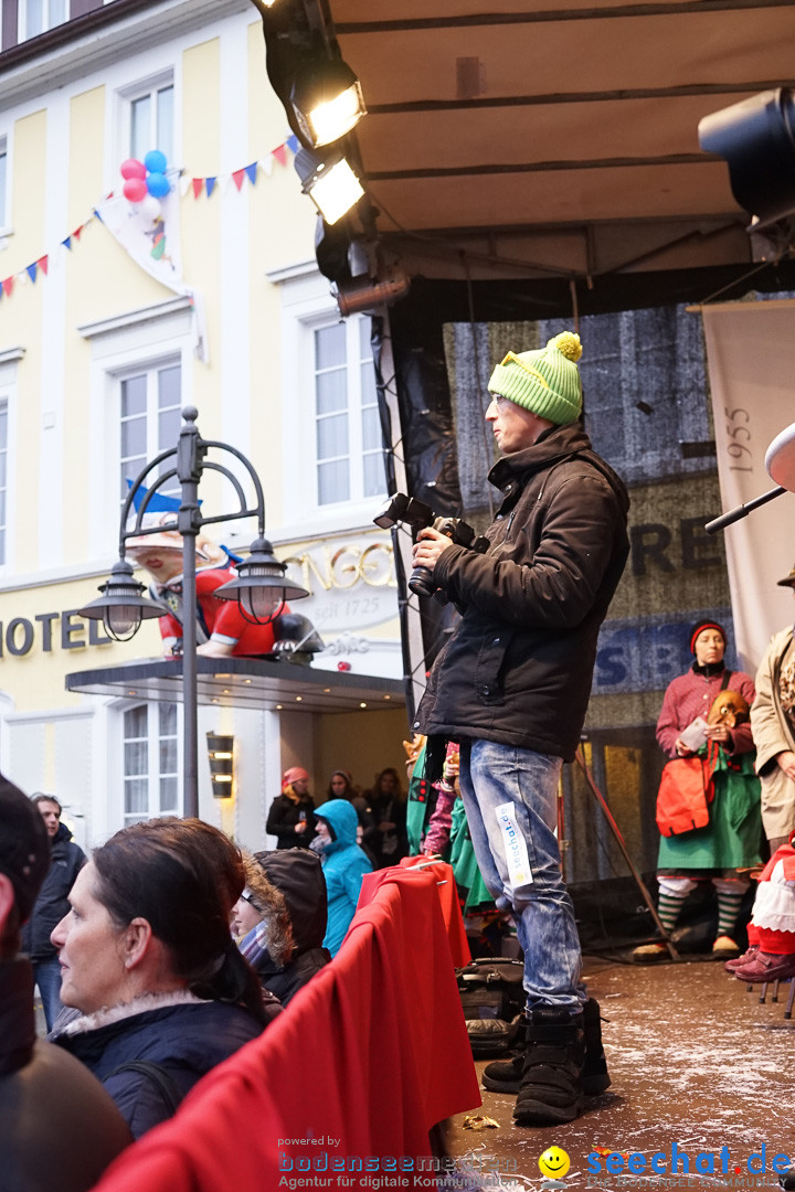 Fasnetsumzug - Fasching: Langenargen am Bodensee, 10.01.2016