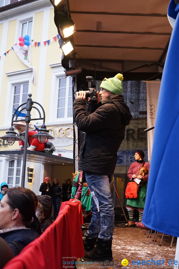 Fasnetsumzug - Fasching: Langenargen am Bodensee, 10.01.2016