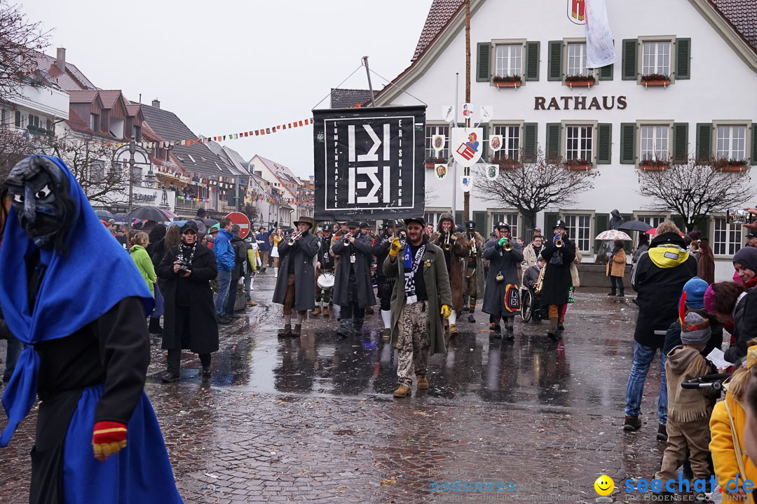 Fasnetsumzug - Fasching: Langenargen am Bodensee, 10.01.2016