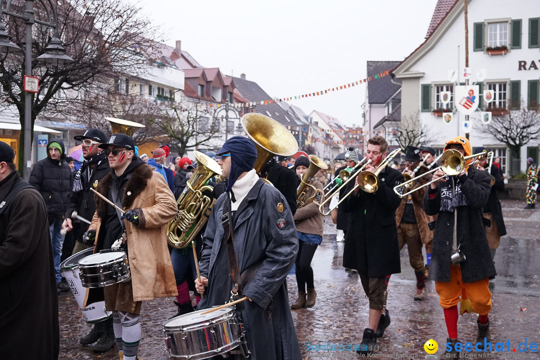 Fasnetsumzug - Fasching: Langenargen am Bodensee, 10.01.2016