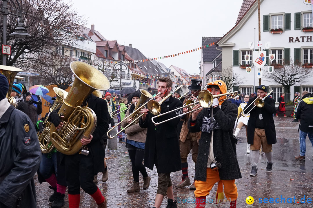 Fasnetsumzug - Fasching: Langenargen am Bodensee, 10.01.2016