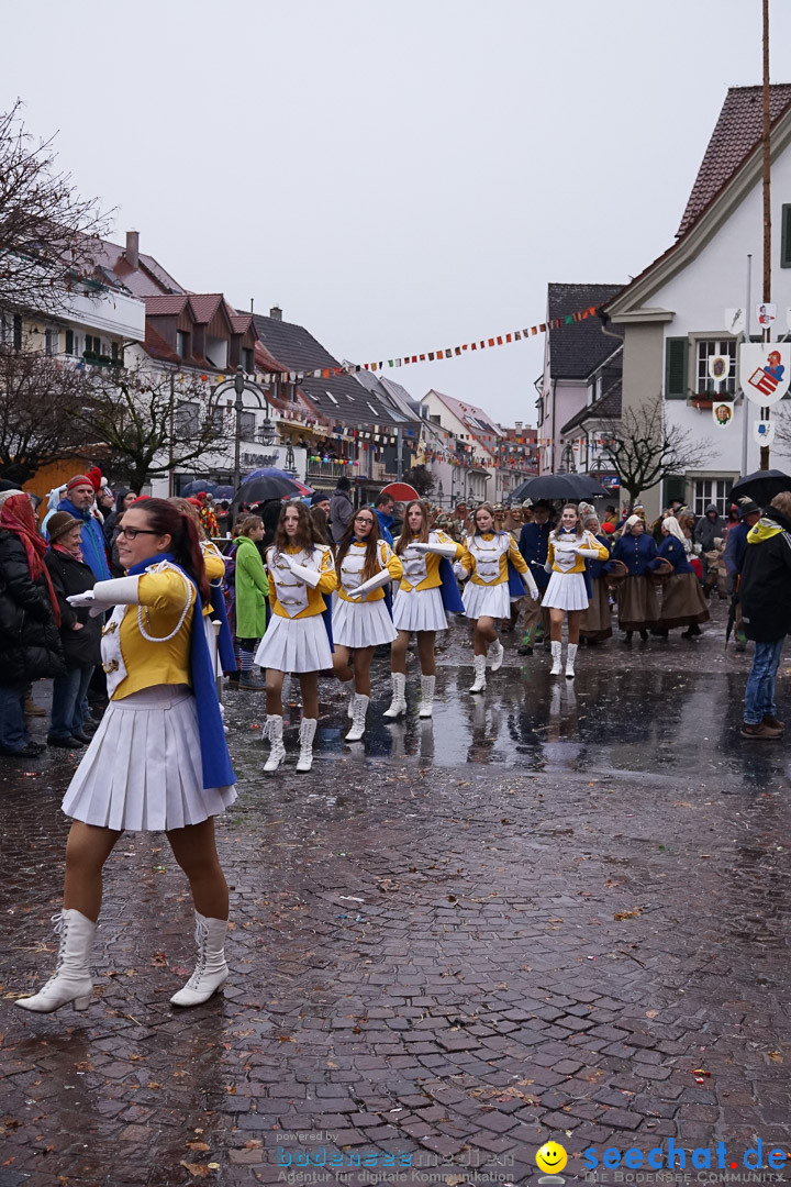 Fasnetsumzug - Fasching: Langenargen am Bodensee, 10.01.2016