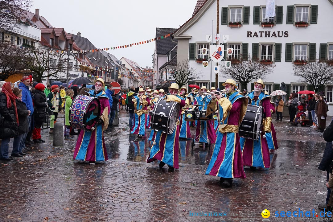 Fasnetsumzug - Fasching: Langenargen am Bodensee, 10.01.2016