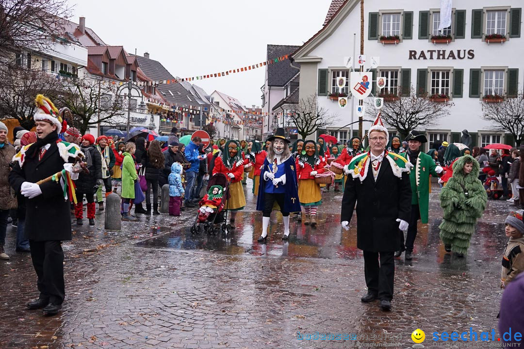 Fasnetsumzug - Fasching: Langenargen am Bodensee, 10.01.2016