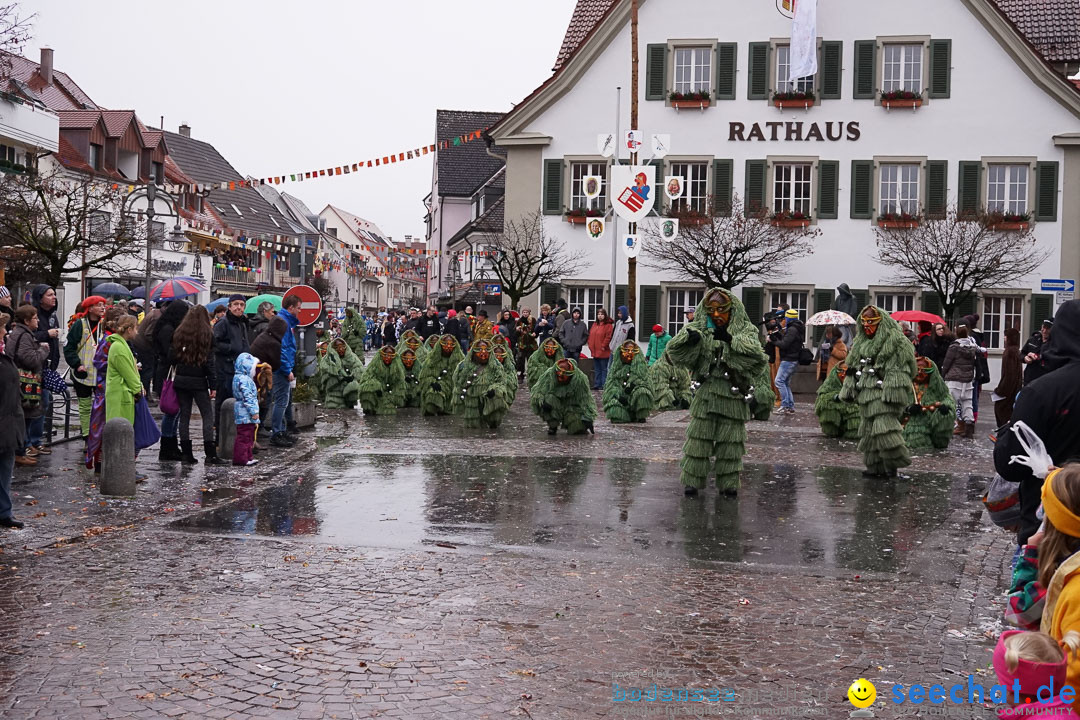 Fasnetsumzug - Fasching: Langenargen am Bodensee, 10.01.2016