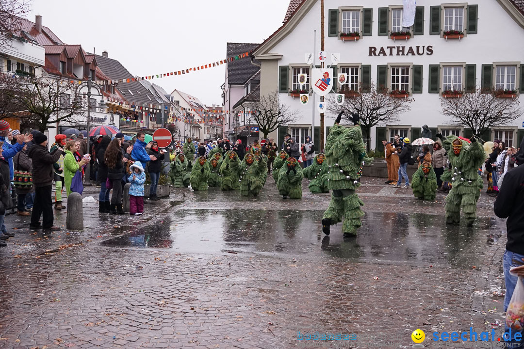 Fasnetsumzug - Fasching: Langenargen am Bodensee, 10.01.2016