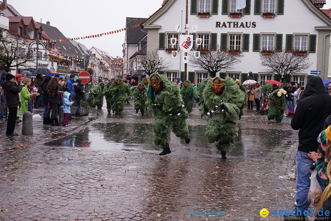 Fasnetsumzug - Fasching: Langenargen am Bodensee, 10.01.2016