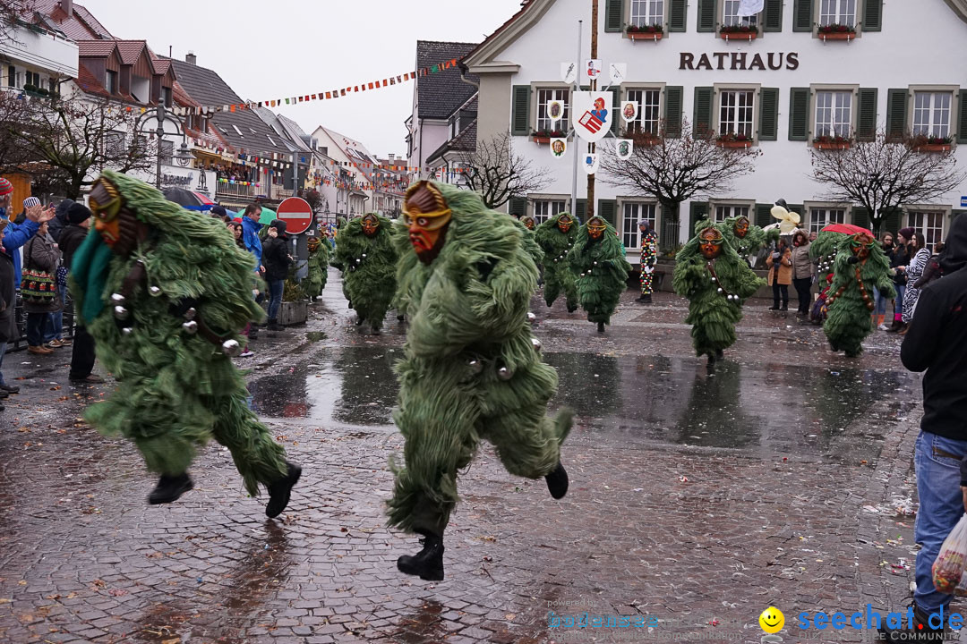 Fasnetsumzug - Fasching: Langenargen am Bodensee, 10.01.2016