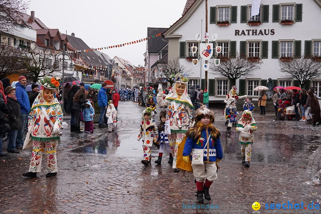 Fasnetsumzug - Fasching: Langenargen am Bodensee, 10.01.2016