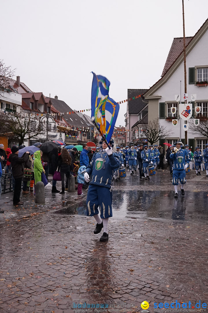 Fasnetsumzug - Fasching: Langenargen am Bodensee, 10.01.2016