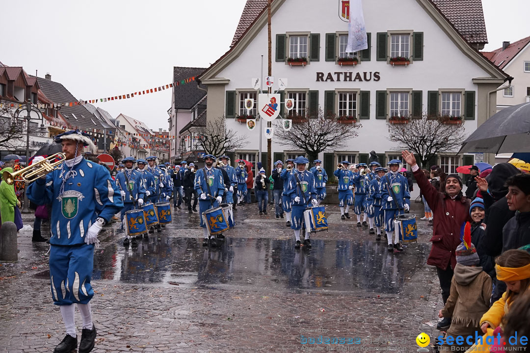 Fasnetsumzug - Fasching: Langenargen am Bodensee, 10.01.2016