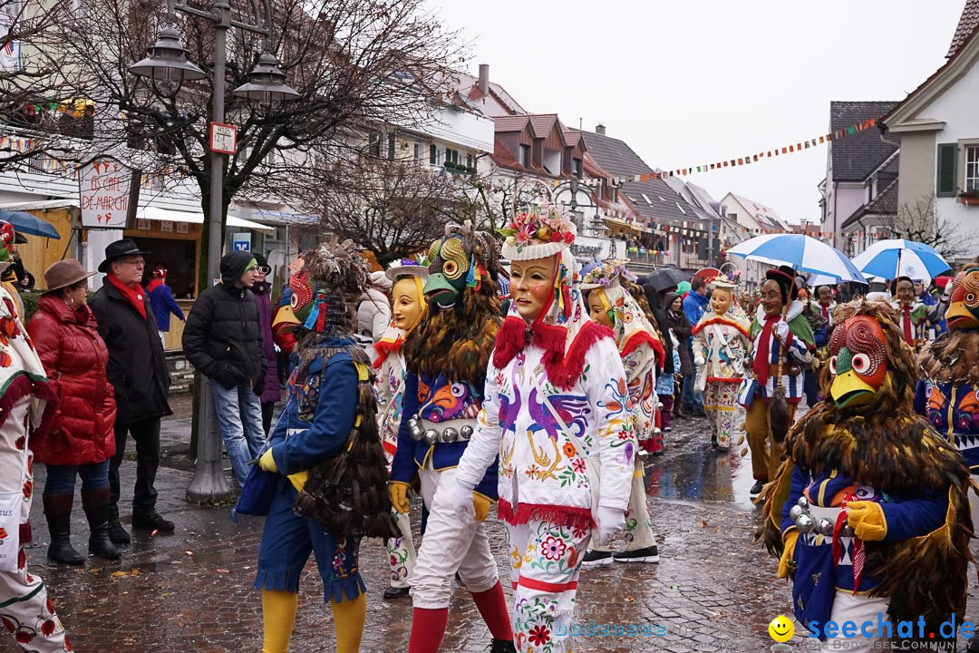 Fasnetsumzug - Fasching: Langenargen am Bodensee, 10.01.2016