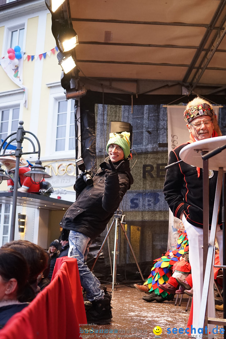 Fasnetsumzug - Fasching: Langenargen am Bodensee, 10.01.2016