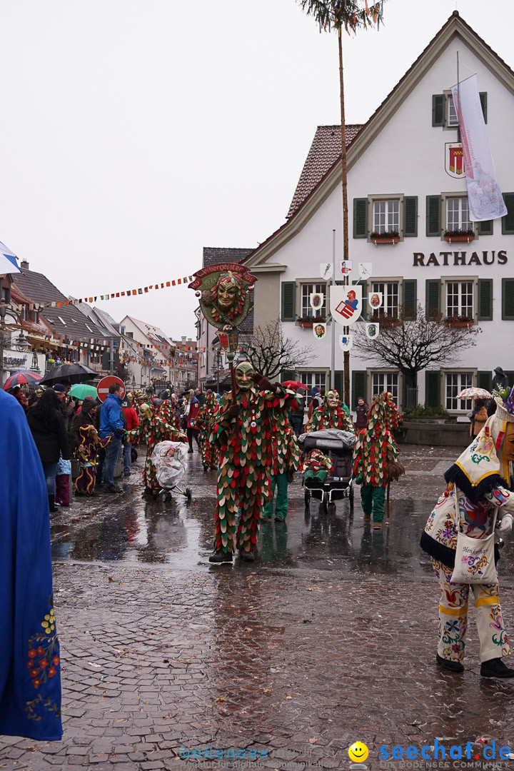 Fasnetsumzug - Fasching: Langenargen am Bodensee, 10.01.2016