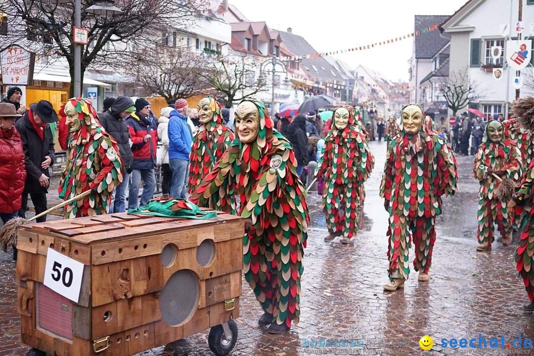 Fasnetsumzug - Fasching: Langenargen am Bodensee, 10.01.2016